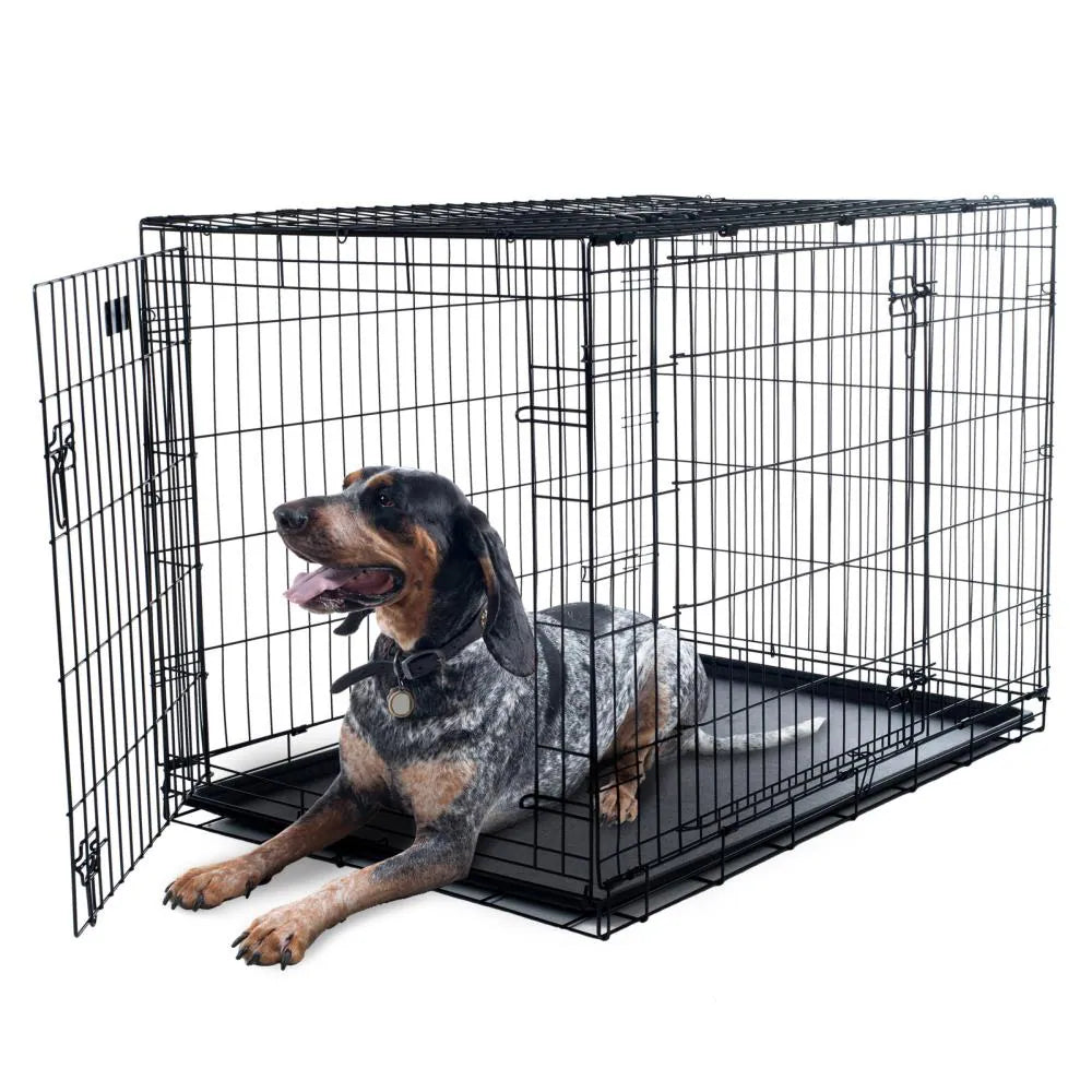 Pet Supplies